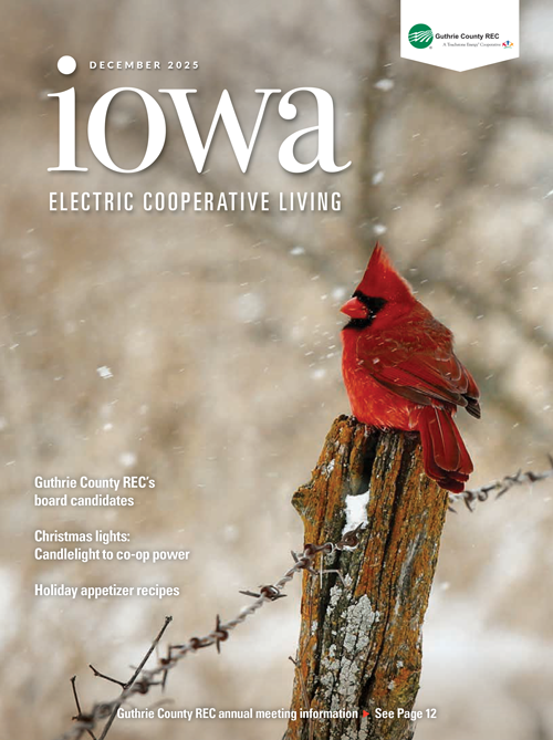 Image link to current newsletter