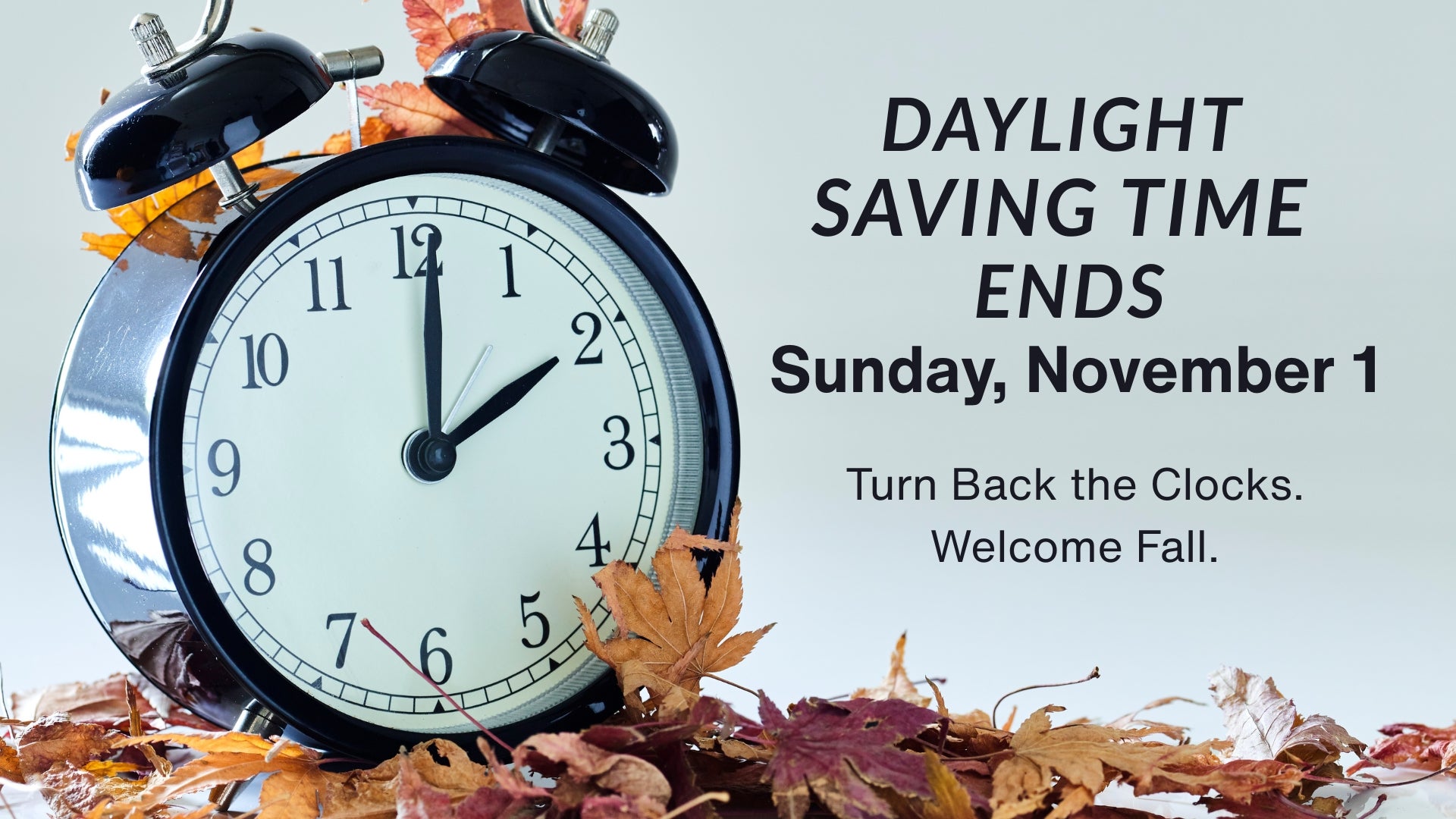 Daylight Savings Time Ends - November 1