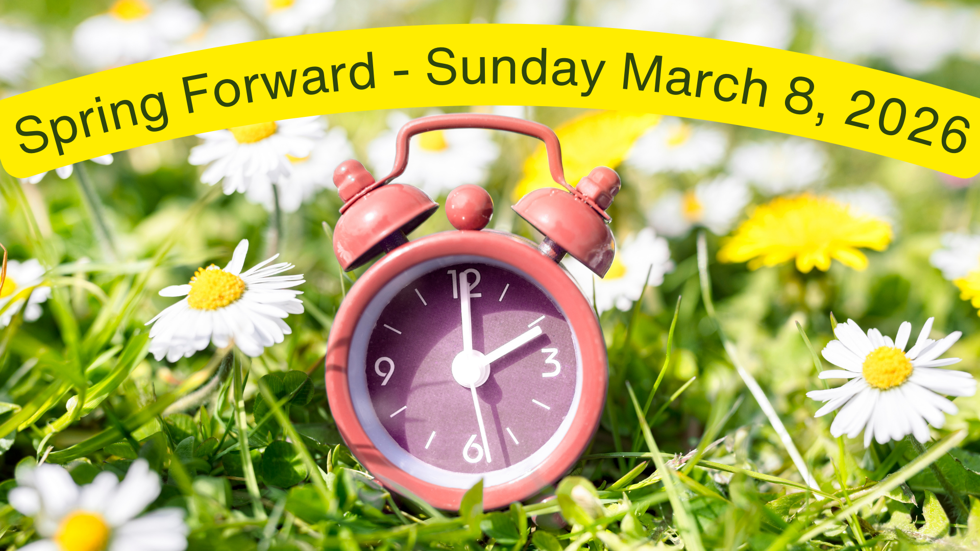 Spring forward - daylight savings time