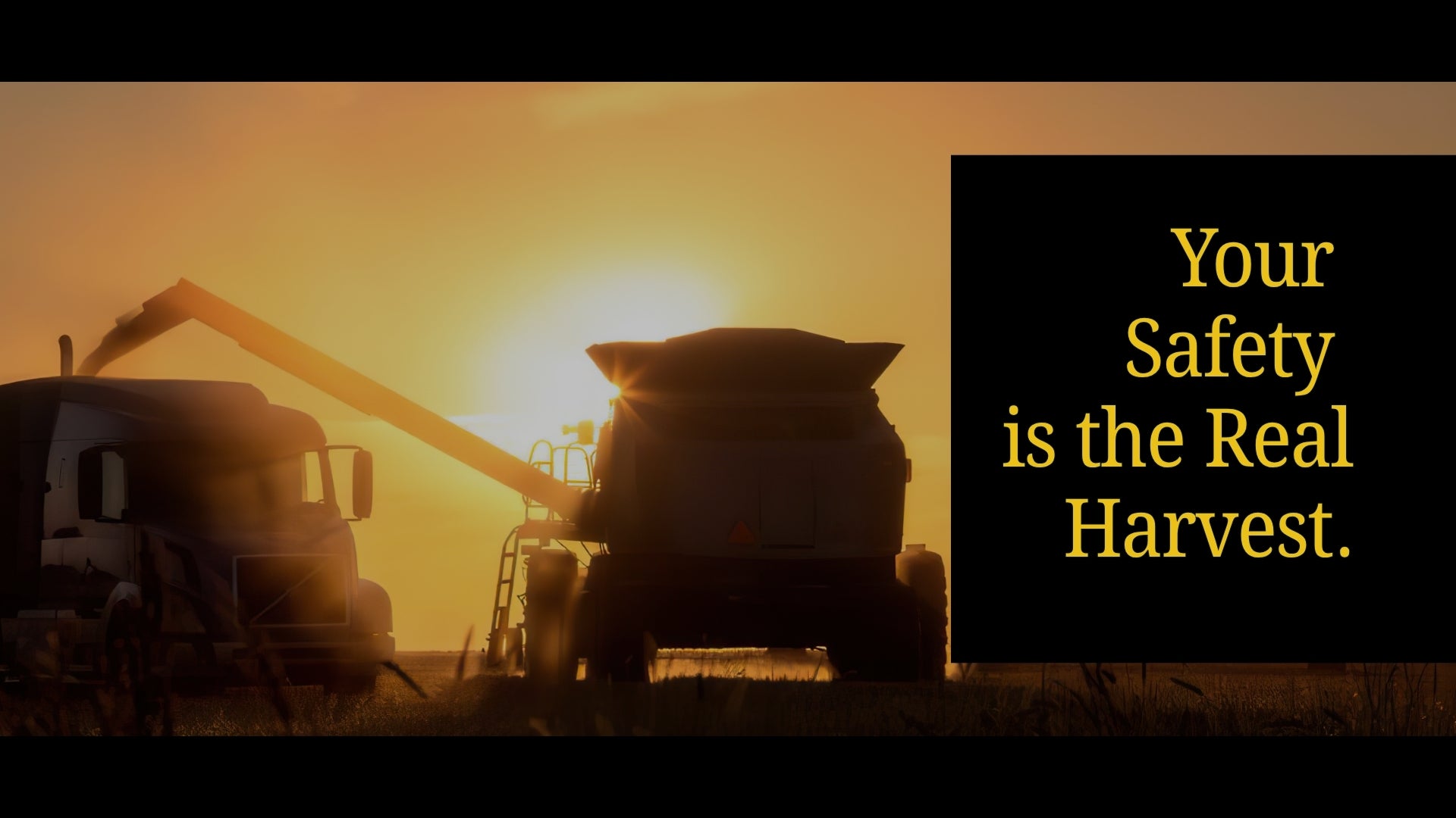 Your safety is the real harvest
