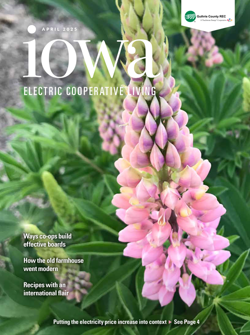 Image link to current newsletter