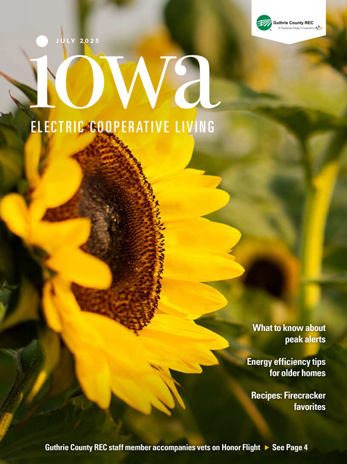Image link to current newsletter